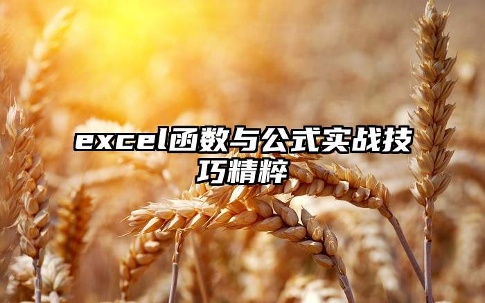 excel函数与公式实战技巧精粹