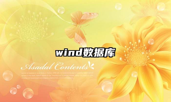 wind数据库