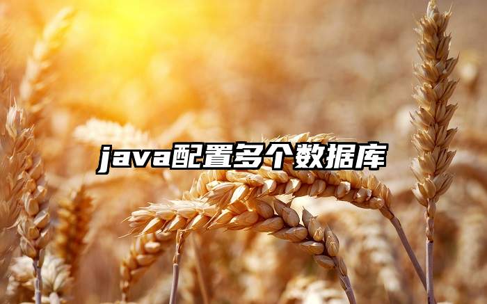 java配置多个数据库