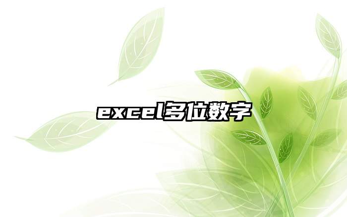 excel多位数字