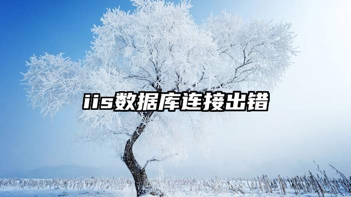 iis数据库连接出错