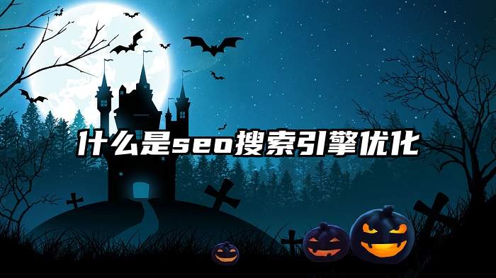 什么是seo搜索引擎优化