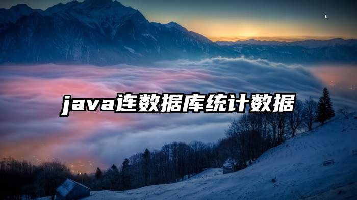 java连数据库统计数据