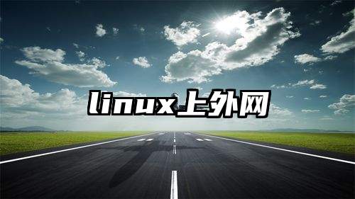 linux上外网