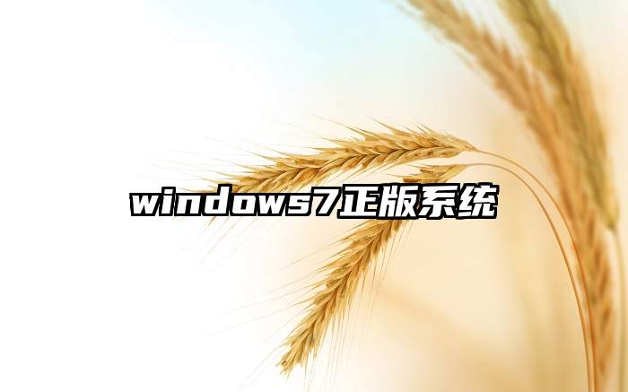 windows7正版系统