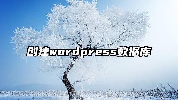 创建wordpress数据库