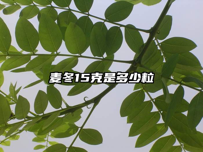 麦冬15克是多少粒