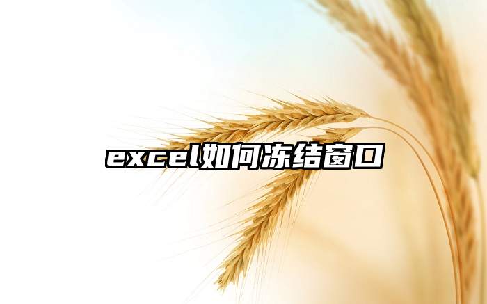 excel如何冻结窗口