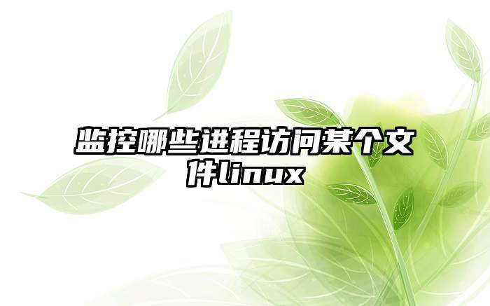 监控哪些进程访问某个文件linux