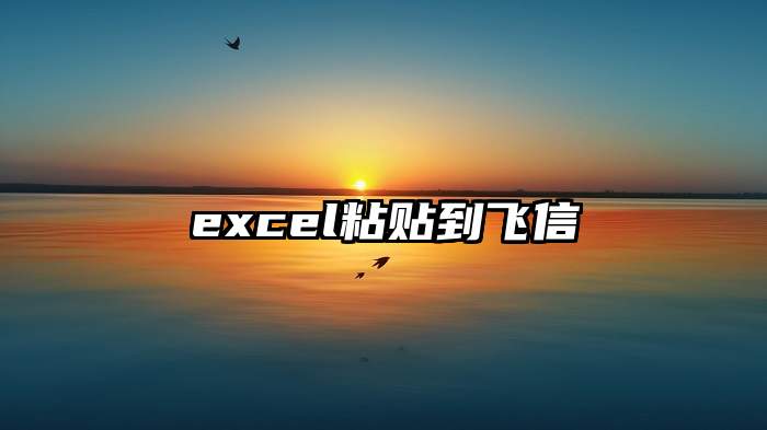 excel粘贴到飞信