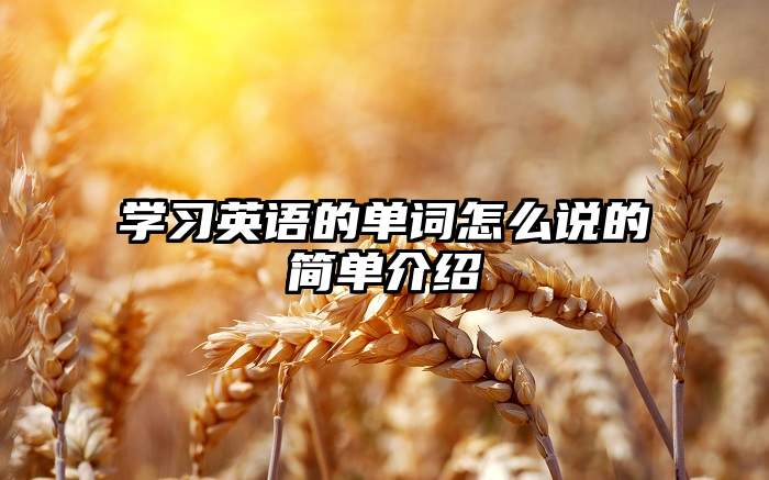 学习英语的单词怎么说的简单介绍