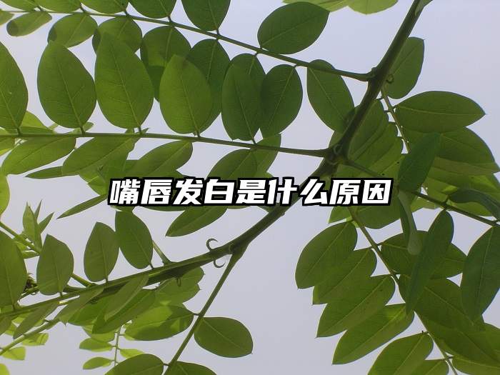 嘴唇发白是什么原因