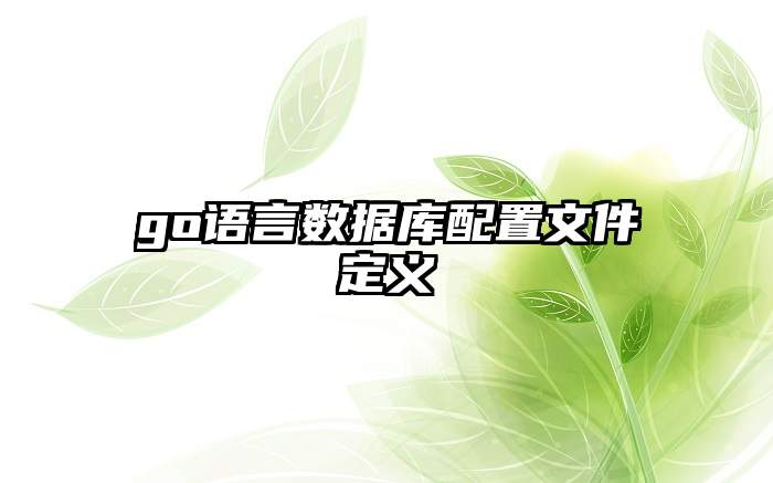 go语言数据库配置文件定义