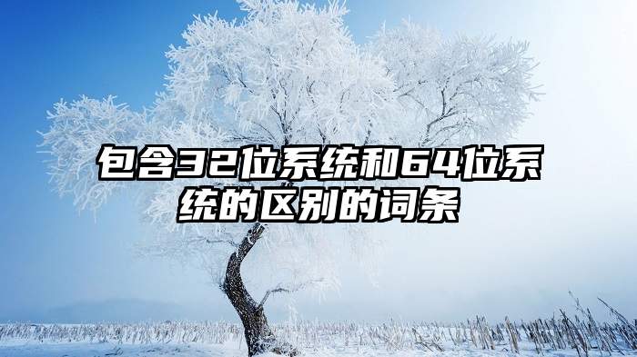 包含32位系统和64位系统的区别的词条