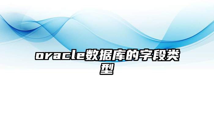 oracle数据库的字段类型