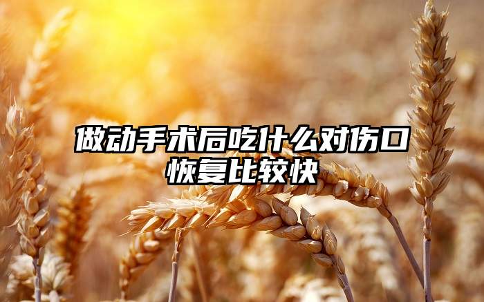 做动手术后吃什么对伤口恢复比较快