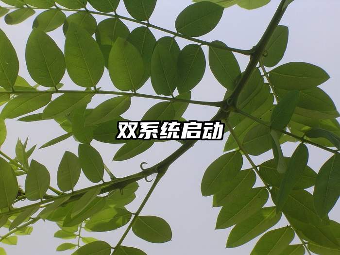 双系统启动