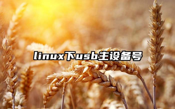 linux下usb主设备号