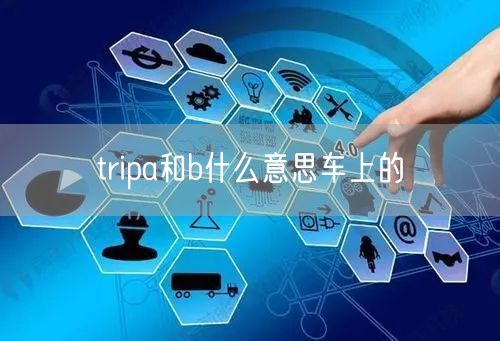 tripa和b什么意思车上的