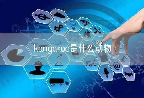 kangaroo是什么动物