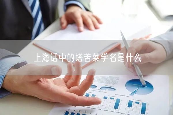 上海话中的塔苦菜学名是什么