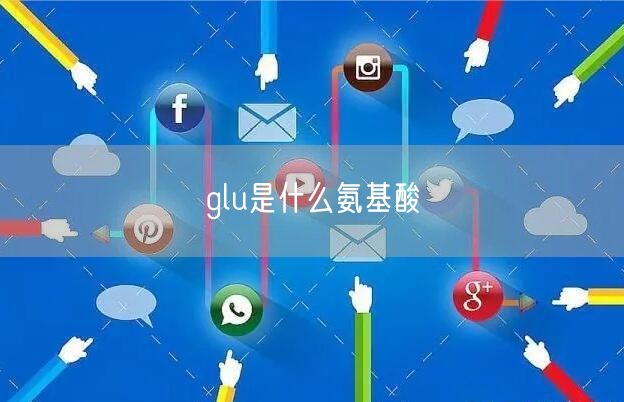 glu是什么氨基酸