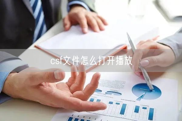 csf文件怎么打开播放