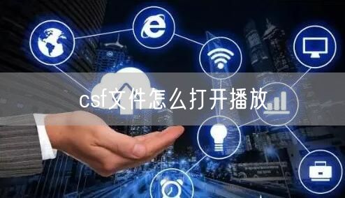 csf文件怎么打开播放