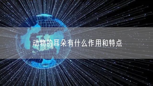 动物的耳朵有什么作用和特点