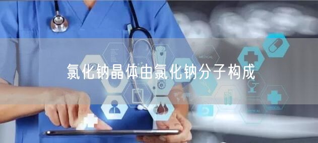 氯化钠晶体由氯化钠分子构成