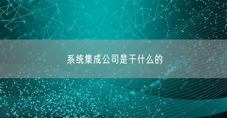 系统集成公司是干什么的