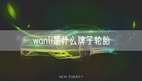 wanli是什么牌子轮胎