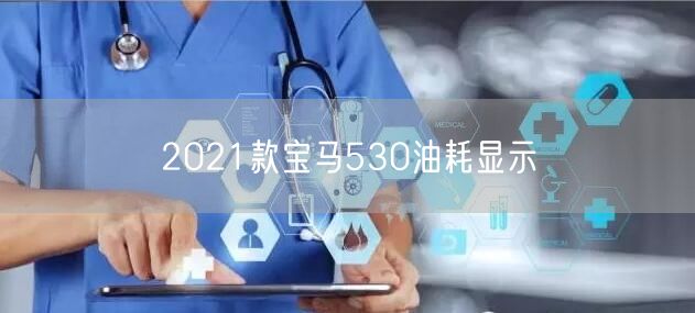 2021款宝马530油耗显示