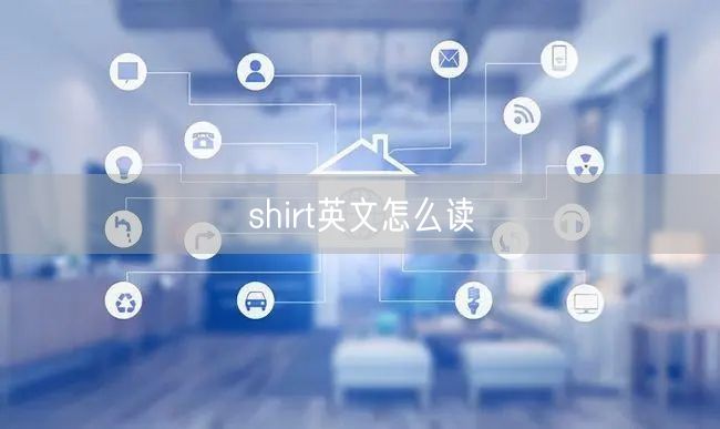 shirt英文怎么读