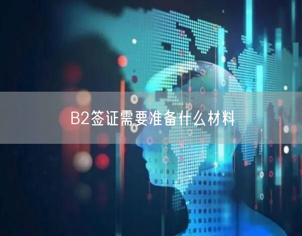 B2签证需要准备什么材料