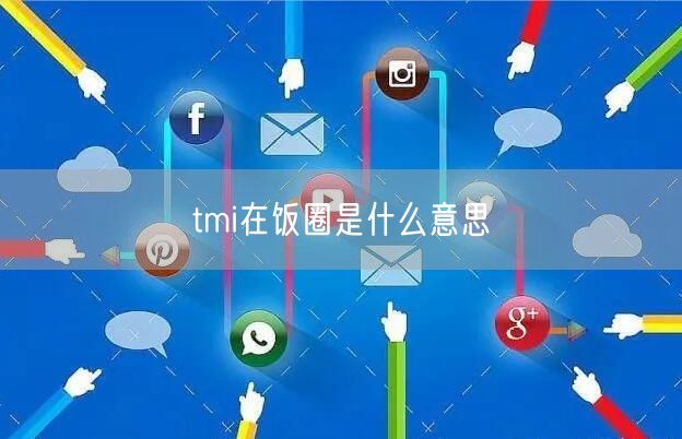 tmi在饭圈是什么意思