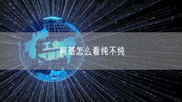 柯基怎么看纯不纯