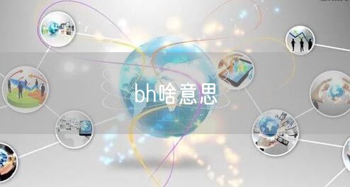 bh啥意思