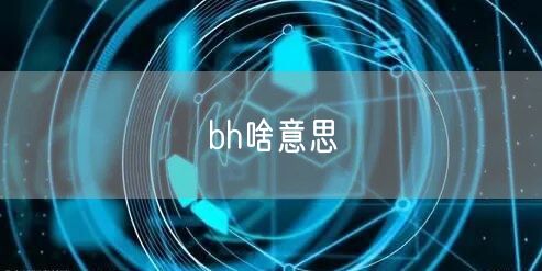 bh啥意思