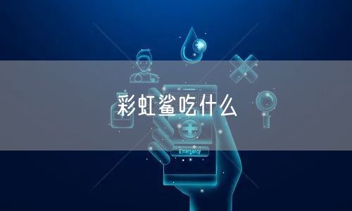 彩虹鲨吃什么