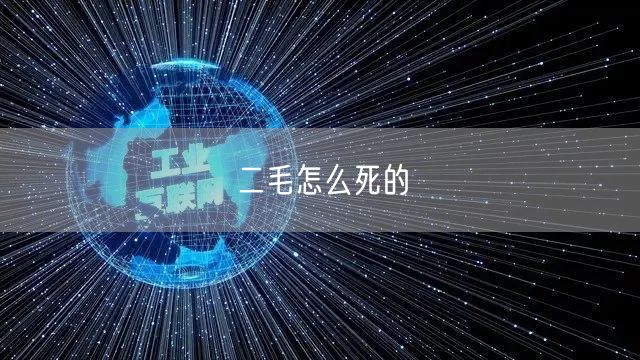 二毛怎么死的