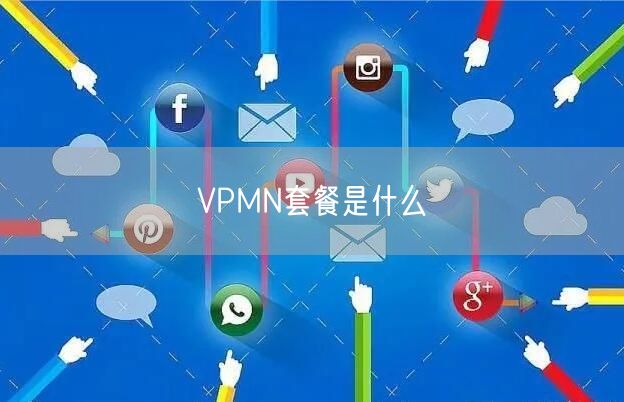 VPMN套餐是什么