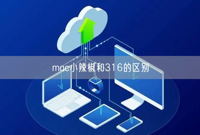 mac小辣椒和316的区别