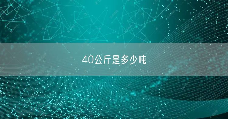 40公斤是多少吨