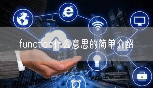 function什么意思的简单介绍