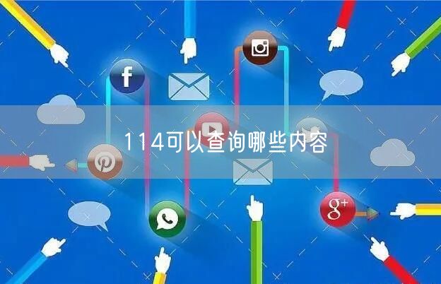 114可以查询哪些内容