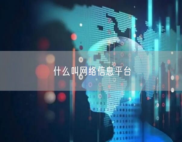 什么叫网络信息平台