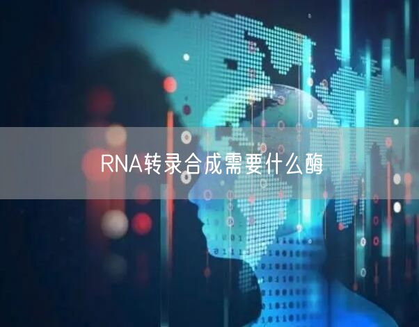 RNA转录合成需要什么酶