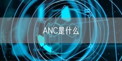 ANC是什么