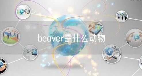 beaver是什么动物